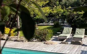 Songes D Ete 6
